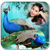 Birds Photo Frames icon