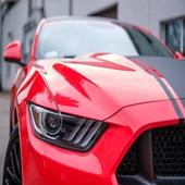 Mustang Driving Simulator icon