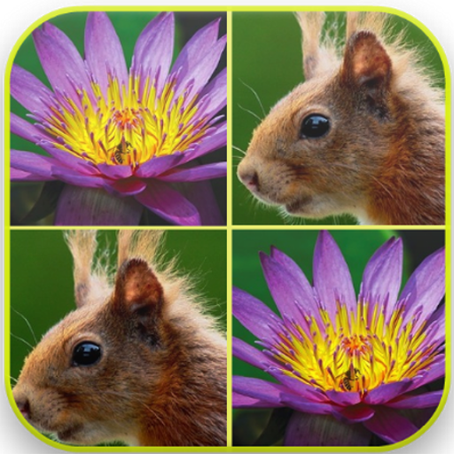 لعبة الذاكرة - بطاقات مماثلة أيقونة