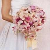 مسكات عرائس 2014 on 9Apps