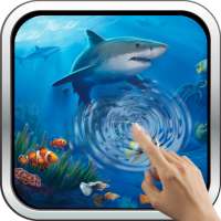 Interactive Shark on 9Apps