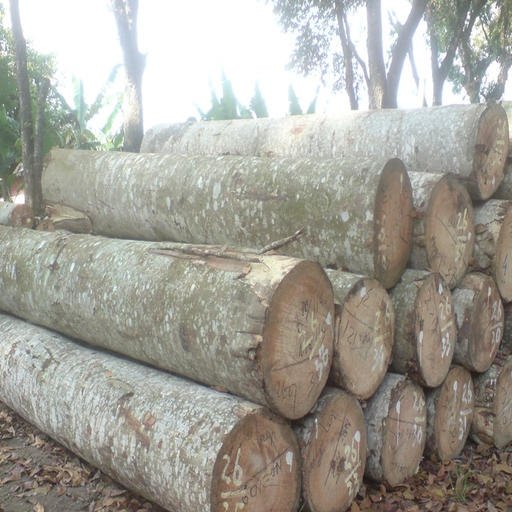 taksasi log sengon &amp; jabon icon