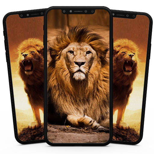 Lion Wallpaper icon