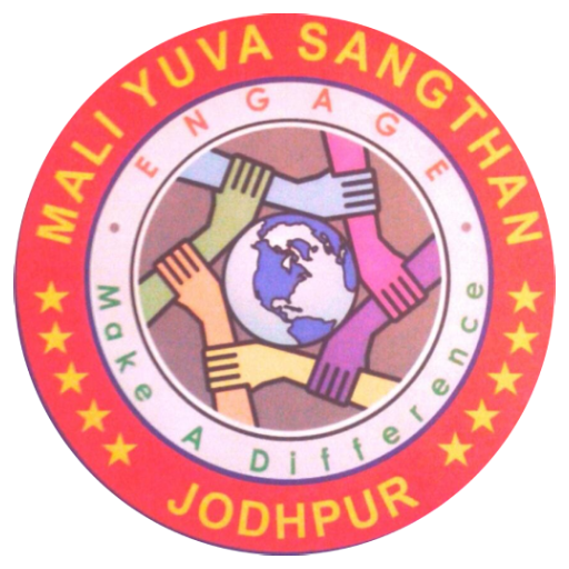 MYS - 2019 | Mali Yuva Sangthan Cricket Tournament icon