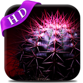 Cactus Live Wallpaper icon