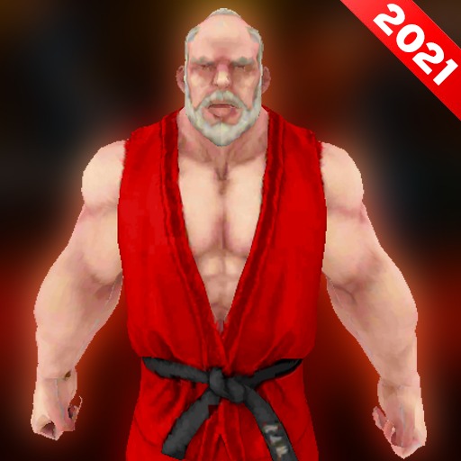 Street Fighting Attack - Kung Fu Fighting 2021 icon