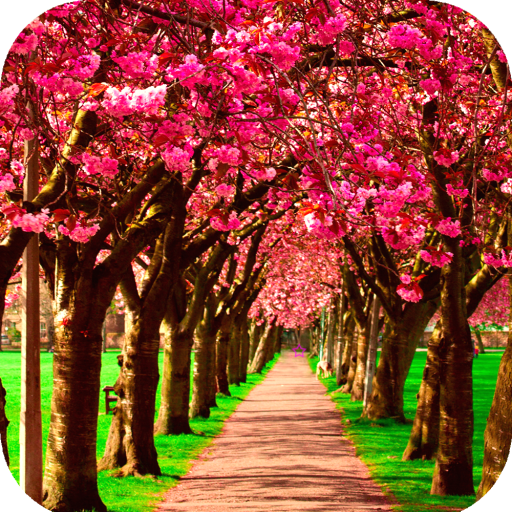 Spring Wallpaper HD icon
