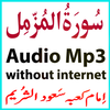 Mp3 Surah Muzammil Shurem icon