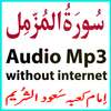 Mp3 Surah Muzammil Shurem on 9Apps