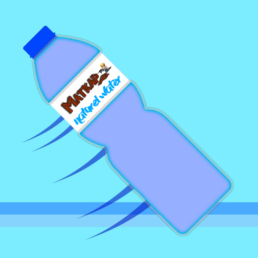 Bottle Flip icon