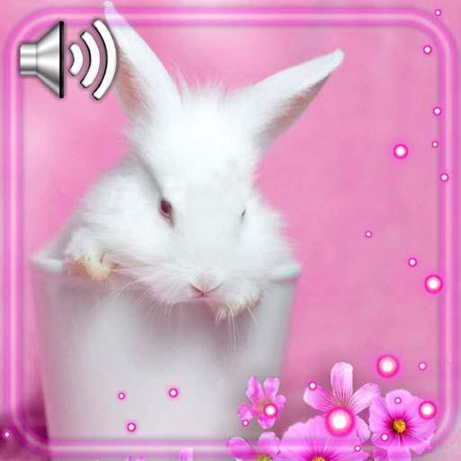 Bunnies Pink Live Wallpaper icon