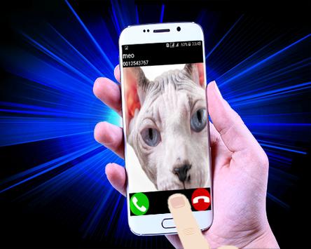 Fake Call Cat screenshot 6