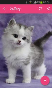 Teen best beauty world screenshot 7