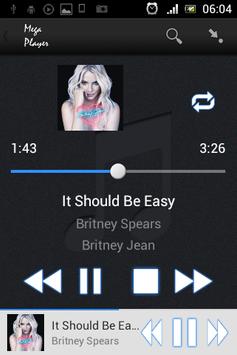 Mega Player скриншот 4