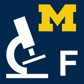 Connective Tissues icon