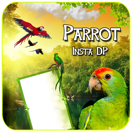 Parrot Insta DP Maker – Love Birds icon