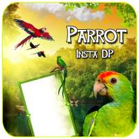 Parrot Insta DP Maker – Love Birds on 9Apps