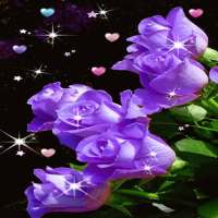 Purple Flower Magic LWP on 9Apps