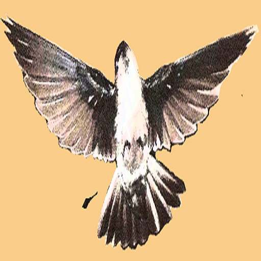 ikon Suara Walet Bisa Download