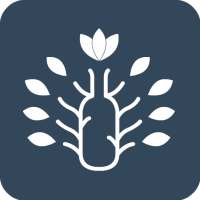 Sober Tree - Quit Alcohol Addiction on 9Apps