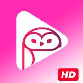 AppFlix FireStick TV on 9Apps