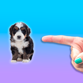 Don't Touch My Dog icon