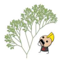 L-System Fractals Editor