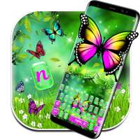 Colorfull Butterfly Keyboard on 9Apps