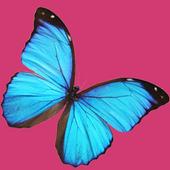 Menstruation Calendar Lite icon