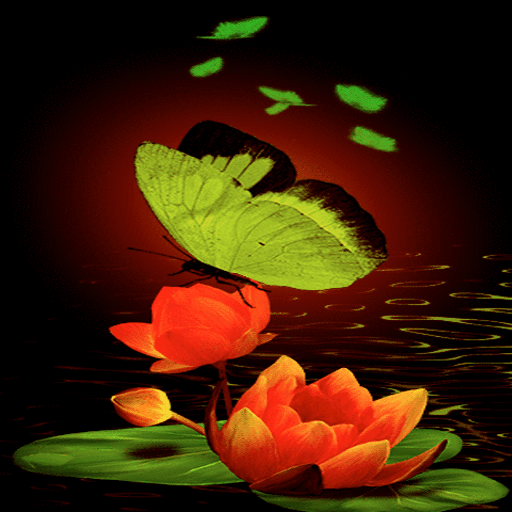 ikon Green Butterflies Live Wallpaper