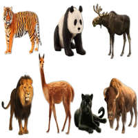 AtoZ Animal Name on 9Apps