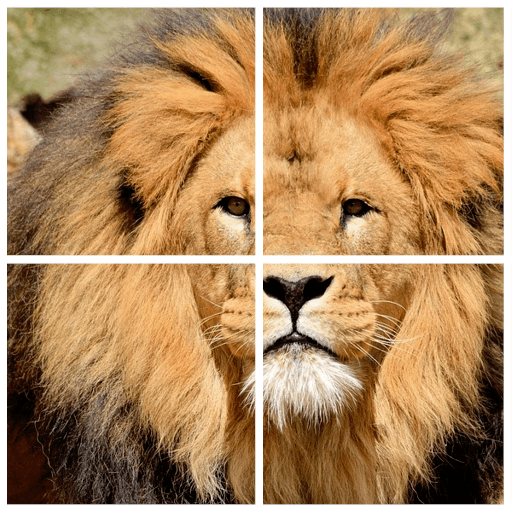 Wild Animals Puzzle icon