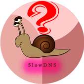 Guide for VPN Over DNS Tunnel : SlowDNS