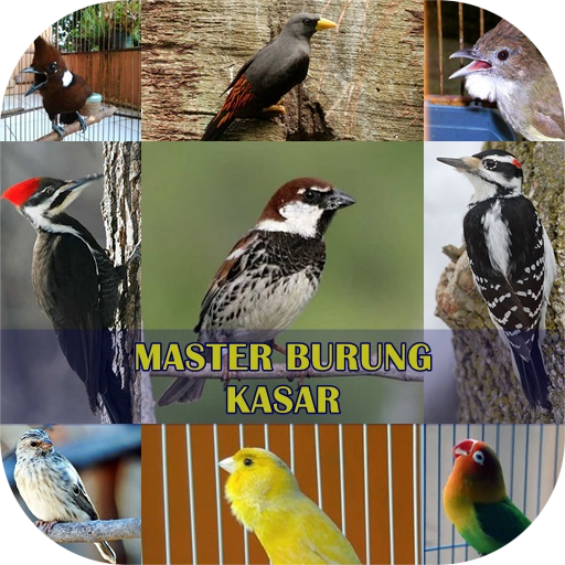 Master Burung Kasar icon