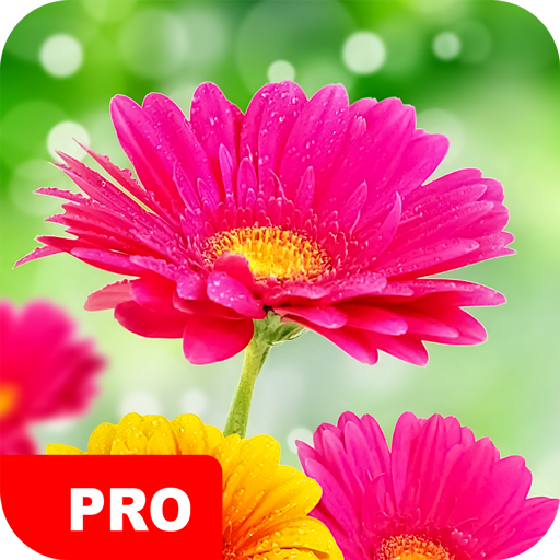 Flower Wallpapers PRO icon