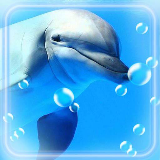 Dolphins Live Wallpaper icon