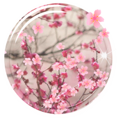 Sakura Live Wallpaper icon