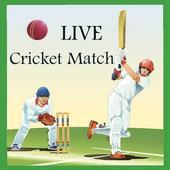LIVE Cricket Match icon