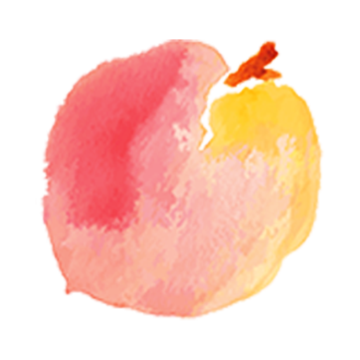 Peachmode Online Shopping icon