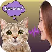 Translator For Cats Simulator