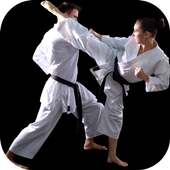 Karate Training - Karate Classes