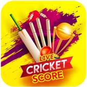 Cricket World Cup 2019 - Live Cricket Score