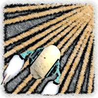 Veggie Fight Unlimited - P&B