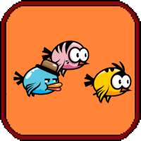 Bird Race