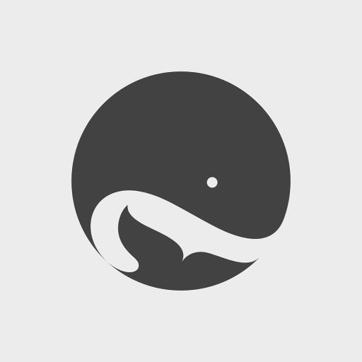 Custom Web Browser icon