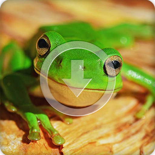 Frog Sounds Ringtone icon