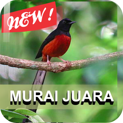 Master Murai Batu icon