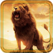 Lions Sounds live wallpaper icon