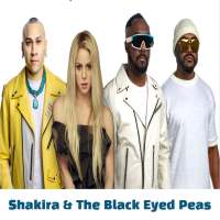 Shakira & The Black Eyed Peas - Girl Like Me (MP3)