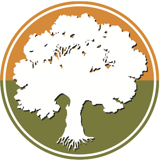 New Life Brampton icon